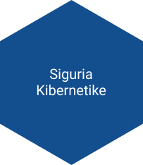 Soft Academy Siguria Kibernetike